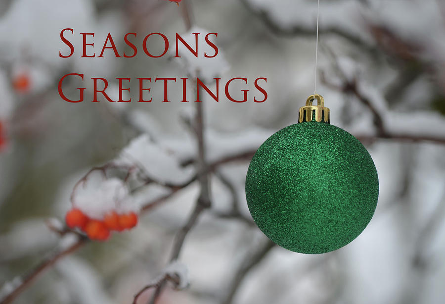 Seasons Greetings Photograph by Whispering Peaks Photography