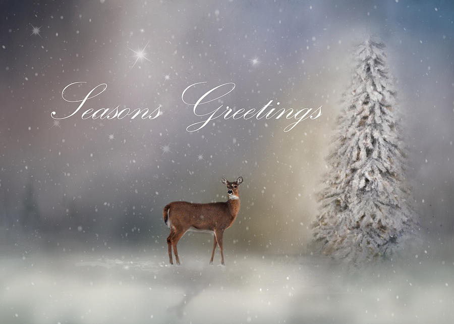 Seasons Greetings With Deer Photograph by Ann Bridges