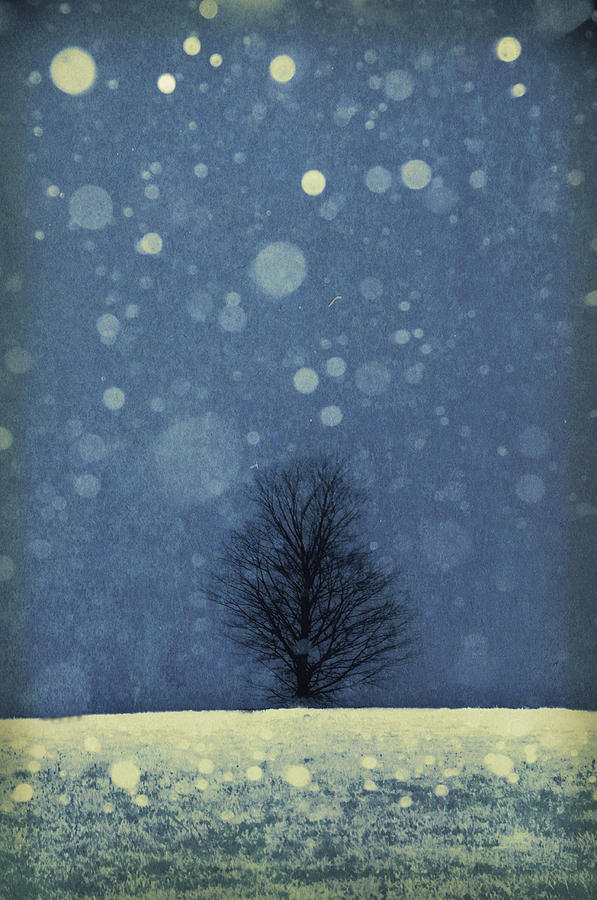 Seasons - Winter Photograph by Phyllis Meinke