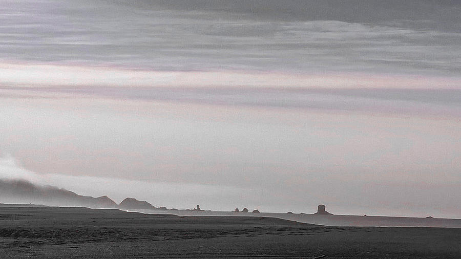 Beach Photograph - Seastacks in Fog by Lisa Beth McKinney Photography