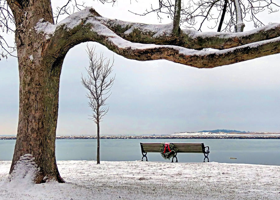 Winter Photograph - Seat by the Sea by Janice Drew