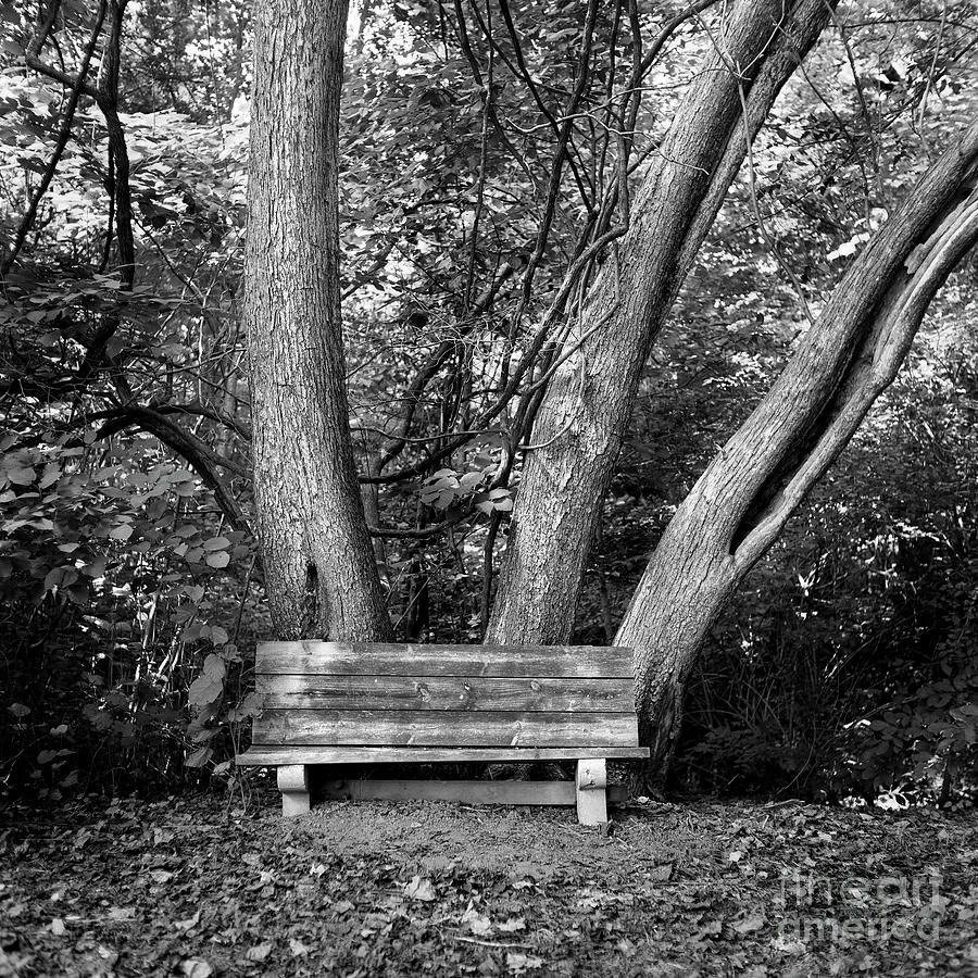 Black And White Photograph - Seat For Three by Patrick Lynch