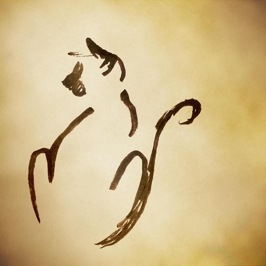 Cat Drawing - Seated Cat by Keith A Link Cat Drawing - Seated Cat by Keith A Link