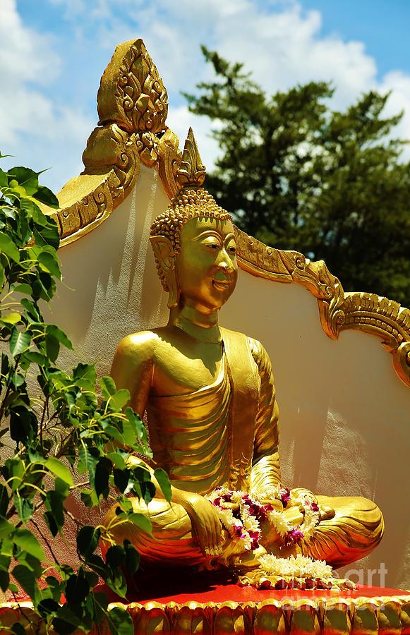 Seated Laotian Buddha Photograph by Craig Wood