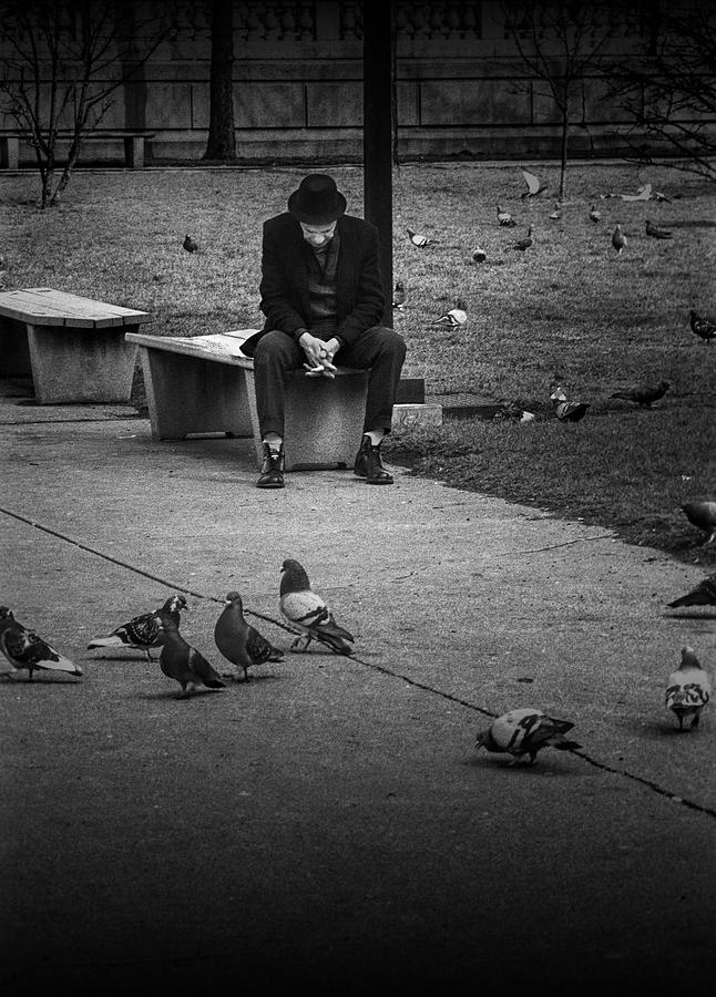 Seated Man with Park Pigeons Photograph by Randall Nyhof