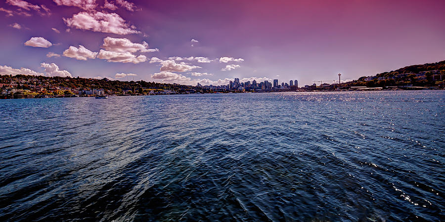 Seattle Skyline Photograph - Seattle and Lake Union by David Patterson