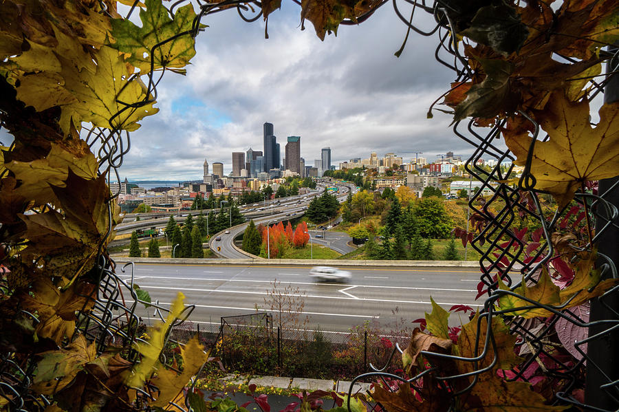 Seattle Autumn Cityscape Photograph by Matt McDonald