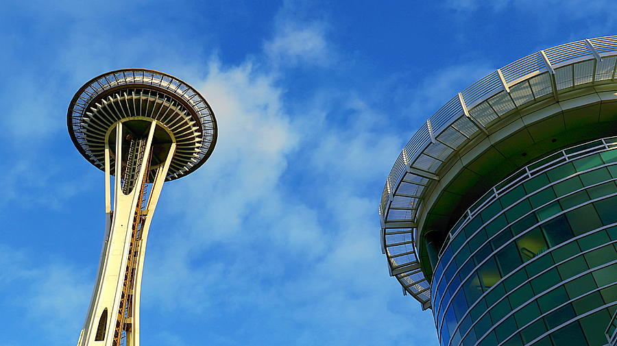 Seattle Circles by TJ Scar Seattle Circles by TJ Scar
