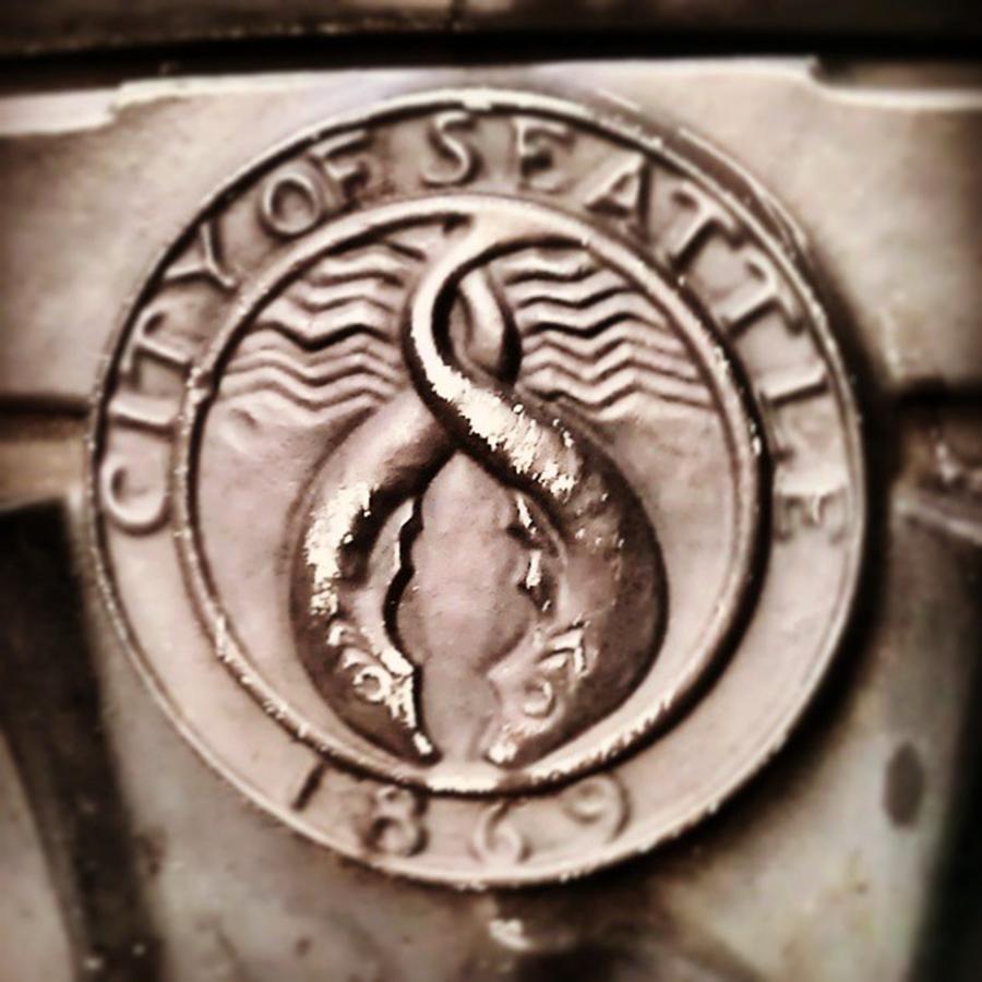 Seattle Photograph - #seattle #cityseal #swimwiththefishes by Justin Kanton