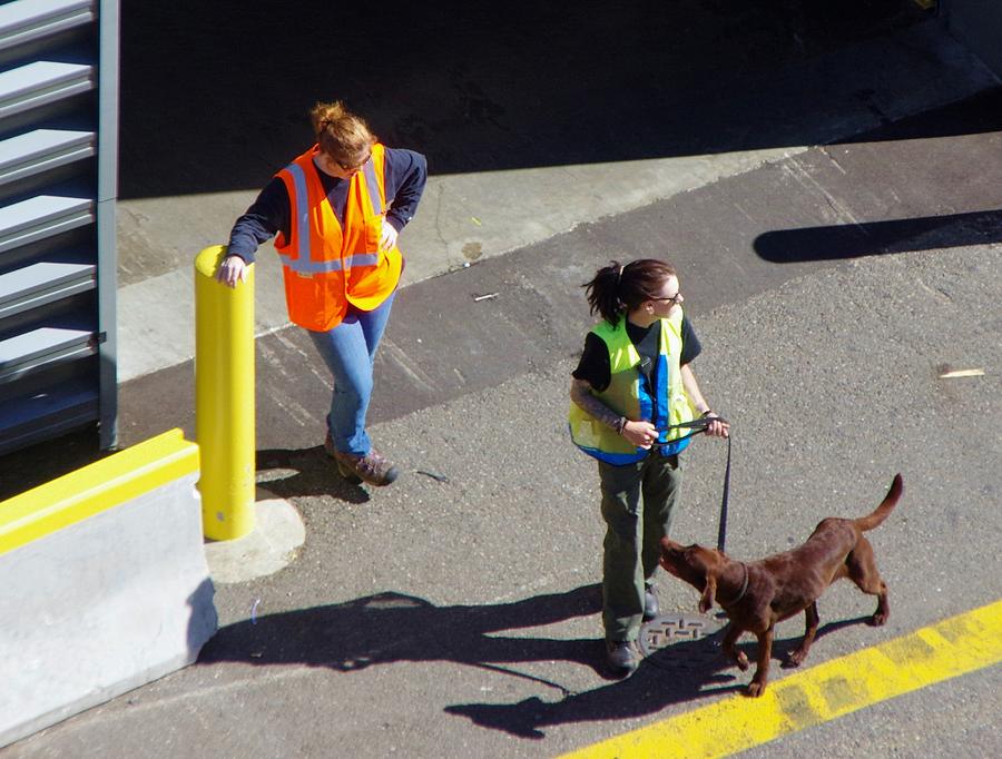 Seattle Dock Dog Workers 1 Photograph by Phyllis Spoor