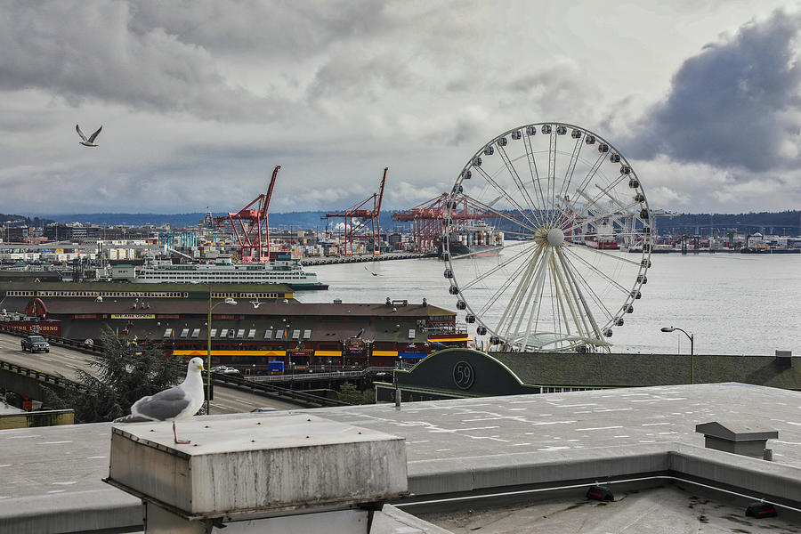 Seattle Ferris Wheel Photograph by Lorraine Baum