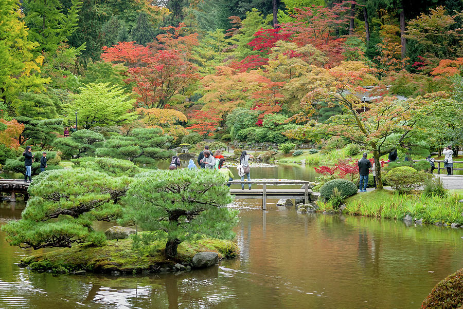 Seattle Japanese Garden Photograph by Stephen Rowles