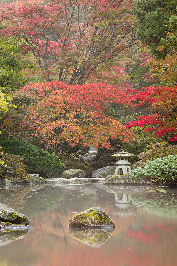 Fall Photograph - Seattle Japanese Garden by Thorsten Scheuermann