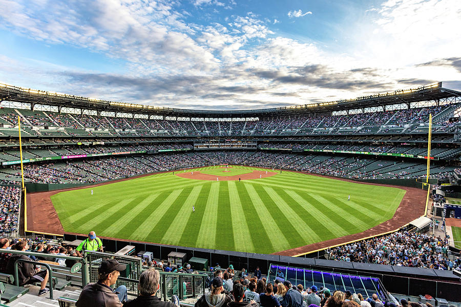 Seattle Mariners Photograph by Mike Centioli