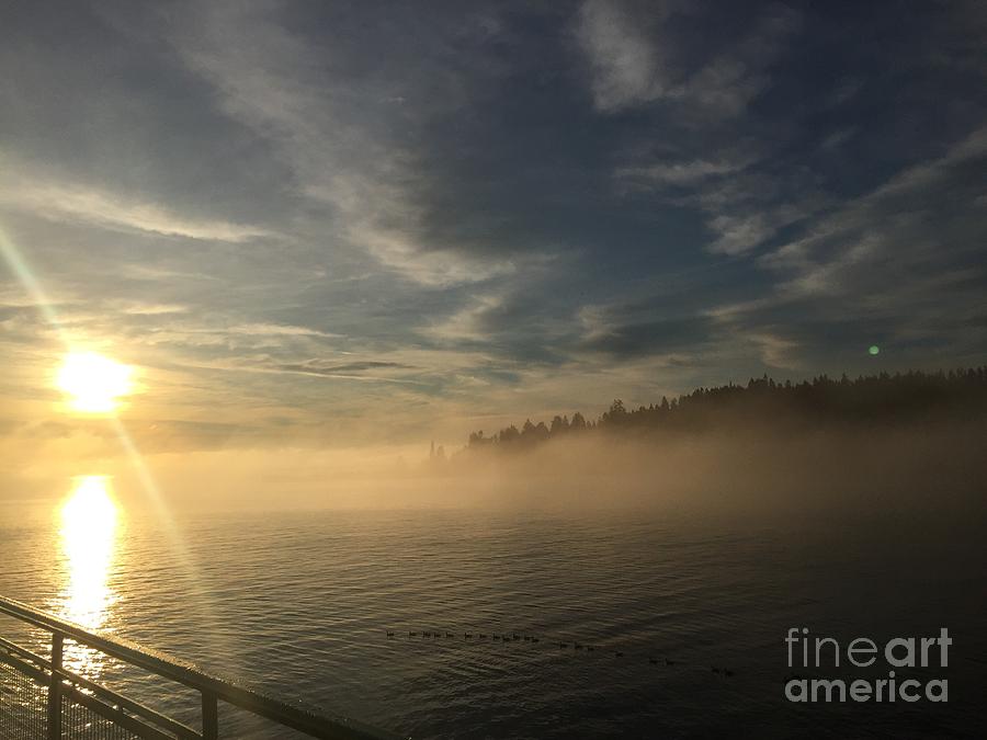 Fog Photograph - Seattle Morning Fog by LeLa Becker