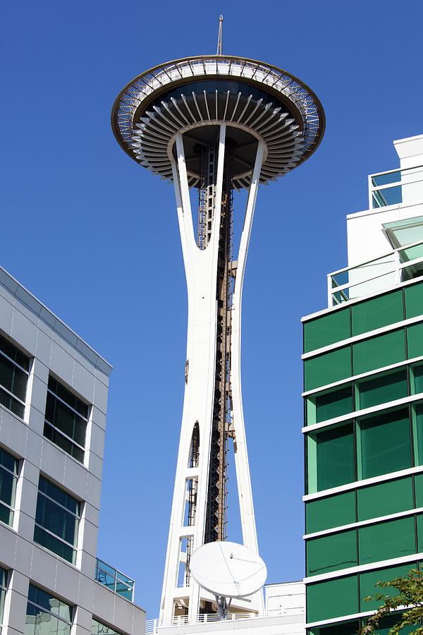 Seattle Needles Photograph by Ramunas Bruzas