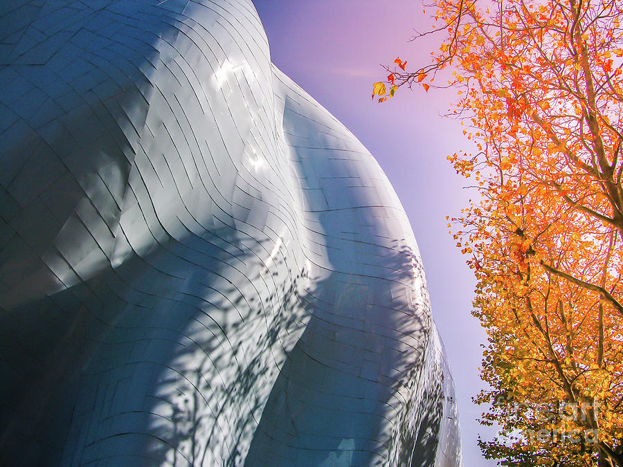 Seattle Rock and Roll Museum Photograph by Blake Webster