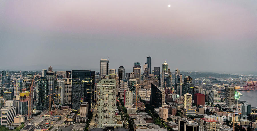 Seattle Skyline Cityscape at Sunset Photograph by David Oppenheimer