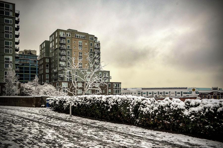 Seattle Snow Photograph by Aparna Tandon
