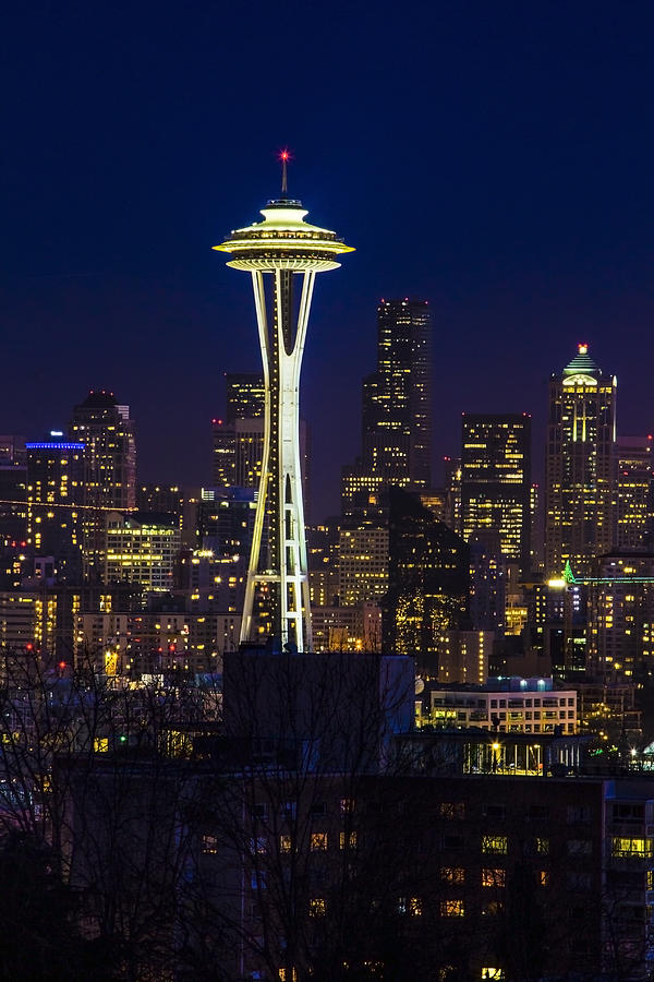 Seattle Space Needle Photograph by Larry Waldon