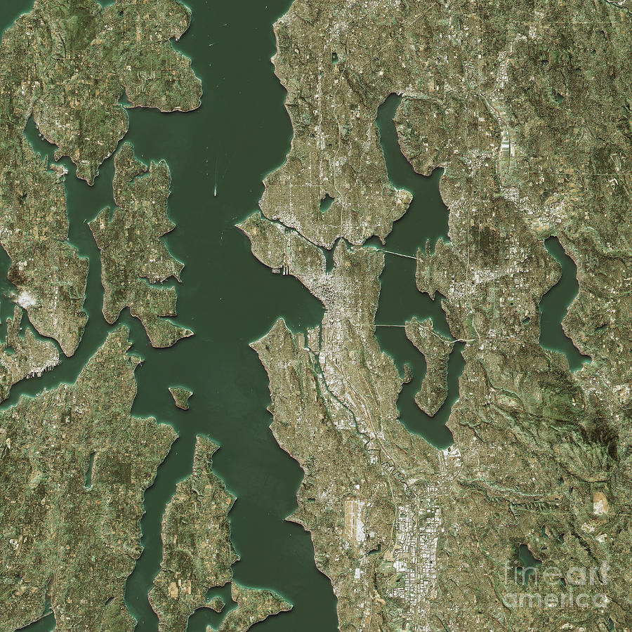 Seattle Digital Art - Seattle Topographic Map Natural Color Top View by Frank Ramspott