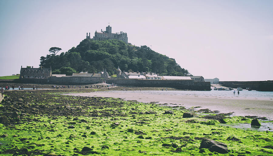 Castle Photograph - Seaweed Beds by Martin Newman