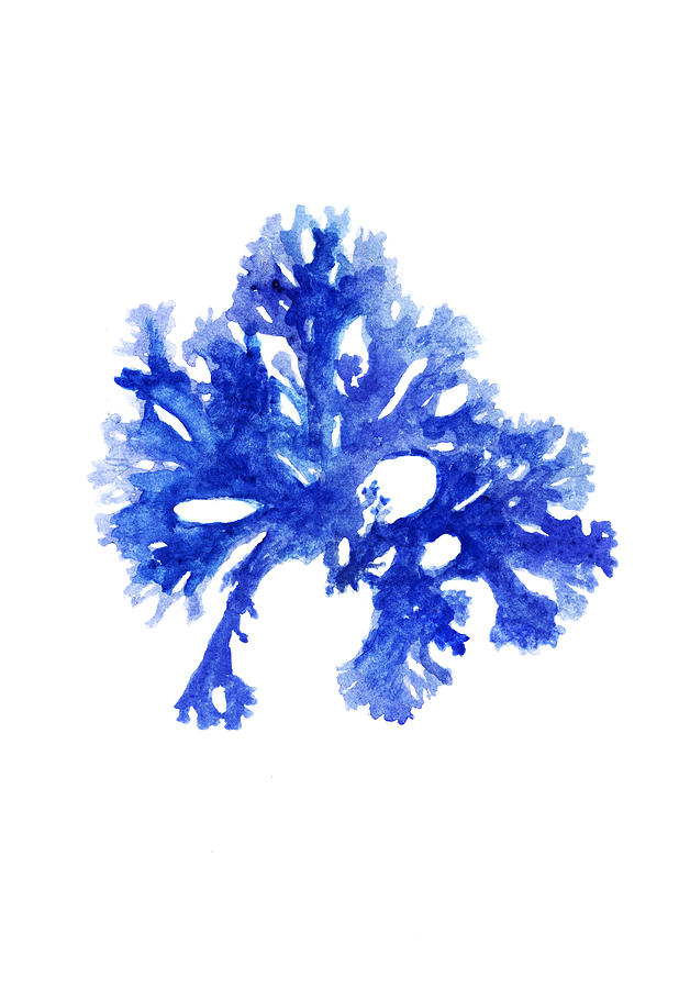 Seaweed Blue Decor 6 Painting by Green Palace - Pixels