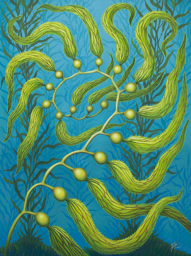 Seaweed Spiral Painting by Tish Wynne
