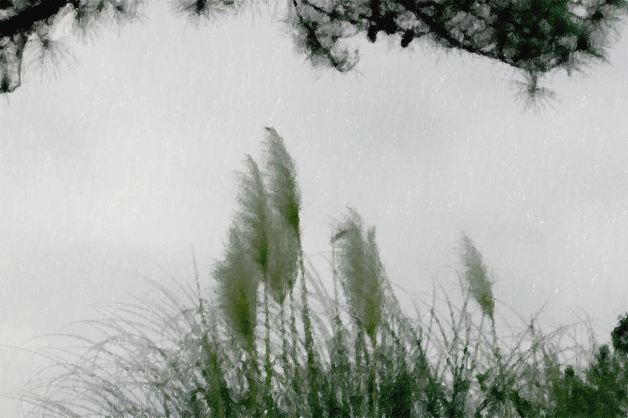 Tree Digital Art - Seagrass by Cathy Harper