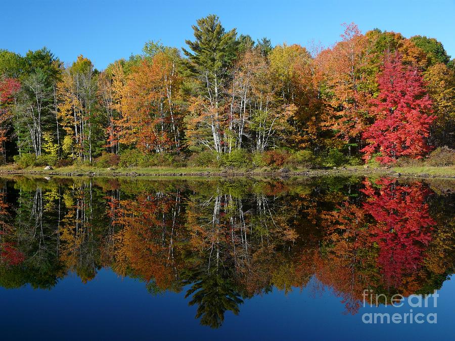 Maine Photograph - Sebago Lake Reflection by Christine Stack Maine Photograph - Sebago Lake Reflection by Christine Stack