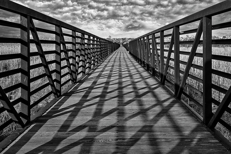 Secaucus NJ Greenway Trail BW Photograph by Susan Candelario