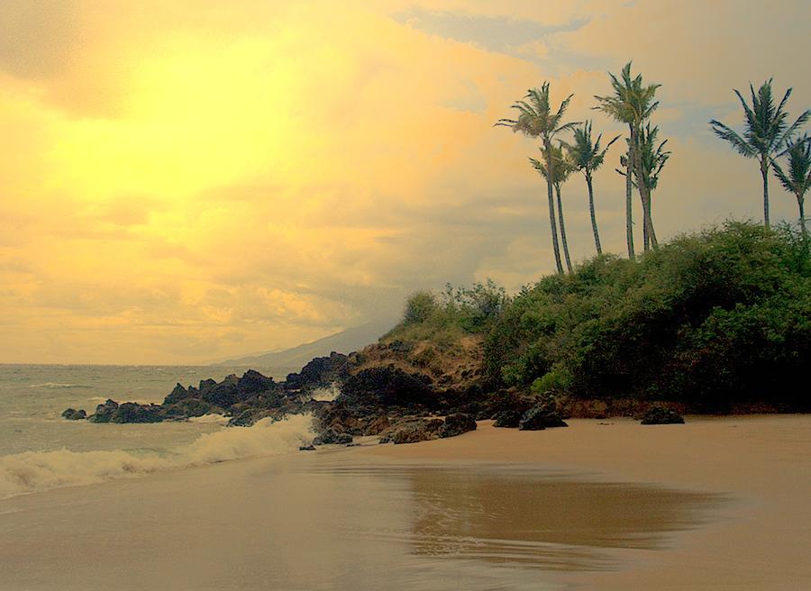 Sunset Photograph - Secluded Beach by Lori Seaman