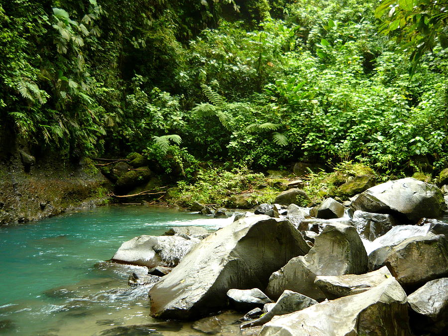 Jungle Photograph - Secluded Cove Costa Rica by Julie Buell