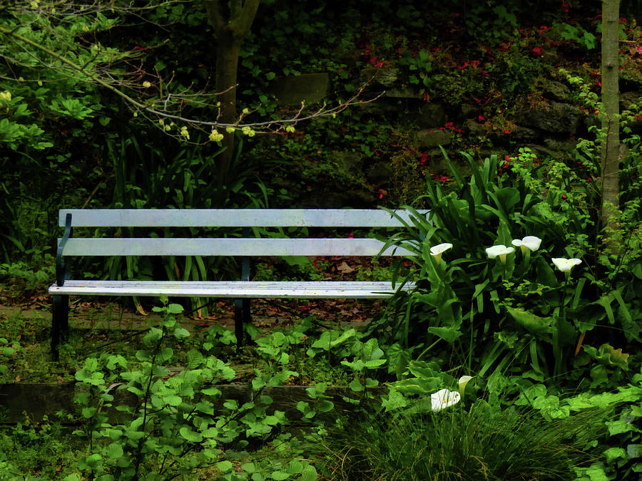Secluded Seating Photograph by Steve Taylor