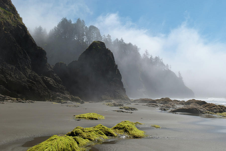 Second Beach Atmospheric Landscape Photograph by Cascade Colors