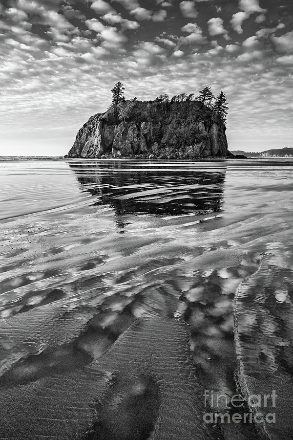 Olympic National Park Photograph - Second Beach in Olympic National Park located in Washington Stat by Jamie Pham
