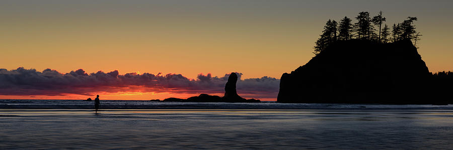 Second Beach Silhouettes Photograph by Dan Mihai