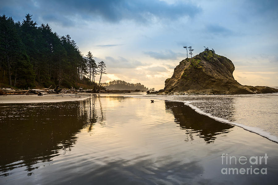 Olympic National Park Photograph - Second Beach Solitude by Jamie Pham