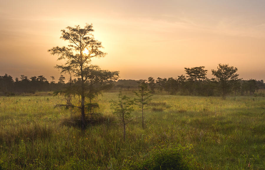 Everglades National Park Photograph - Second Dawn by Matt Tilghman