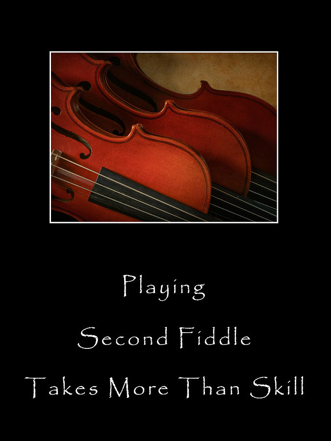 Second Fiddle Photograph by David and Carol Kelly