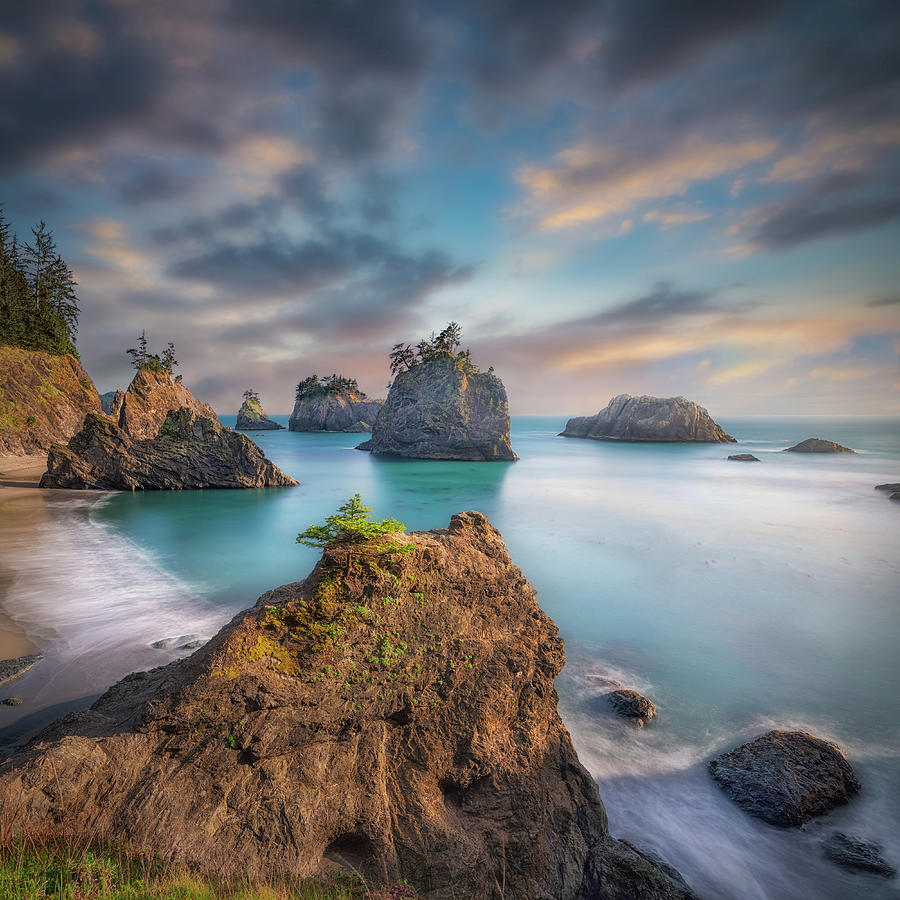 Secret Beach Photograph by Frank Delargy - Fine Art America