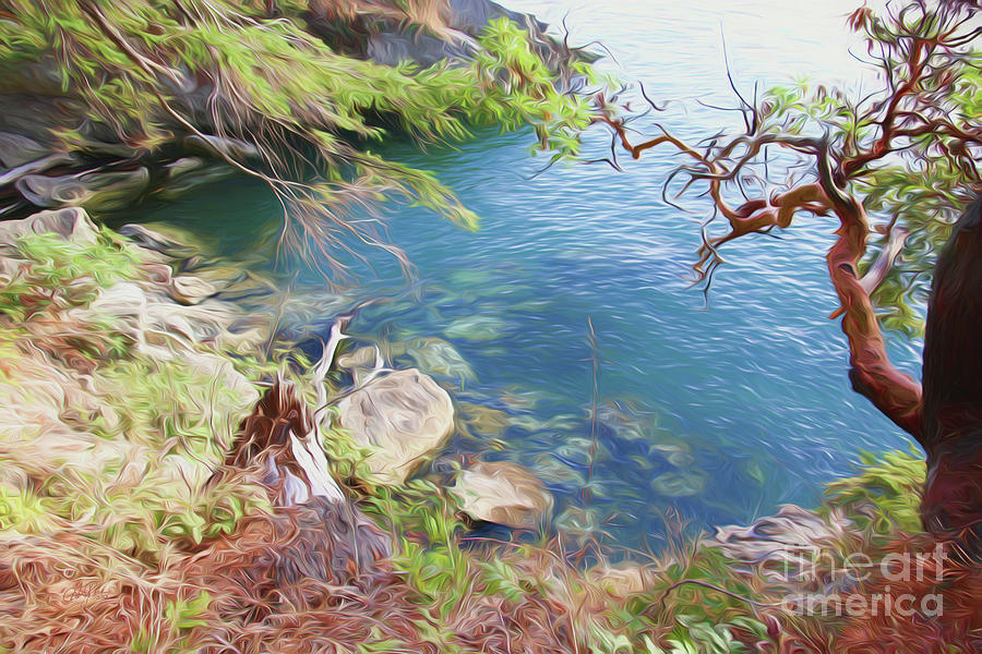 Nature Digital Art - Secret Cove by Cheryl Rose