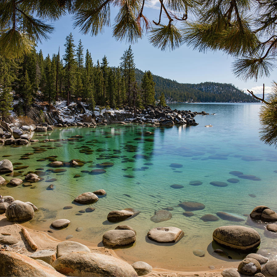 Lake Tahoe Photograph - Secret Cove Through The Trees by Brad Scott by Brad...