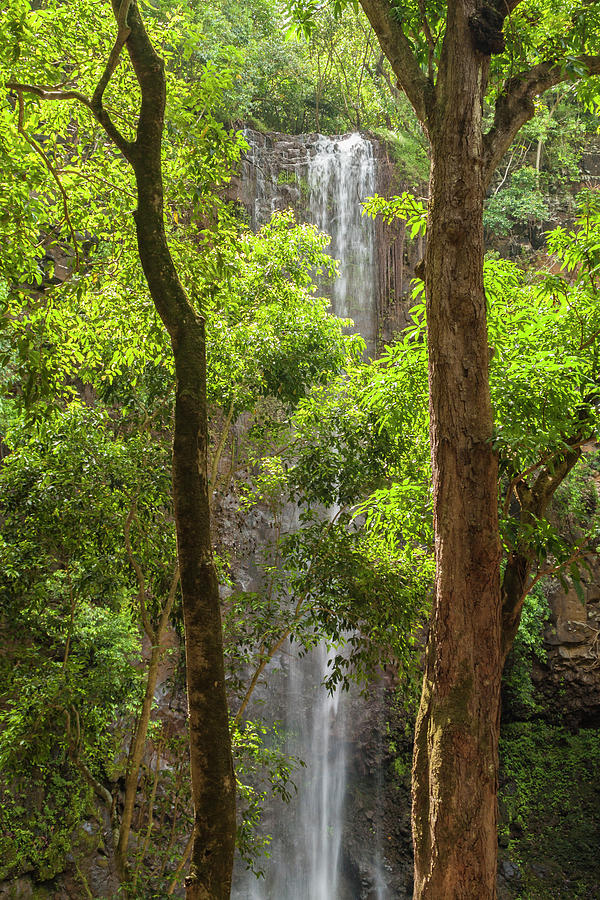 Landscape Photograph - Secret Falls 3 - Kauai Hawaii by Brian Harig