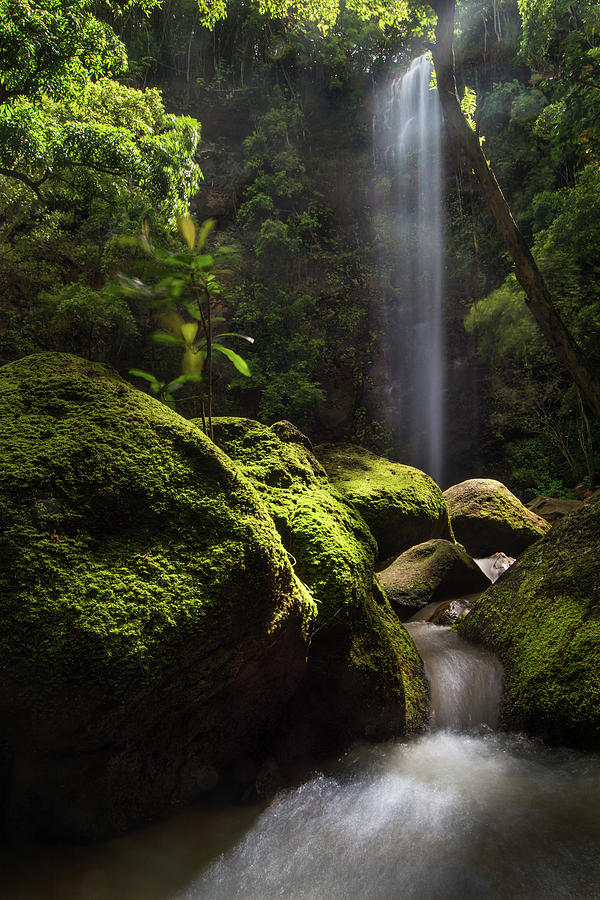 Jungle Photograph - Secret Falls by Hudson Marsh