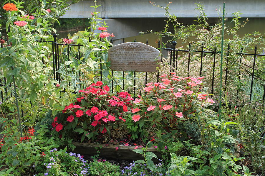 Secret Garden at Flowering Bridge Photograph by Karen Ruhl