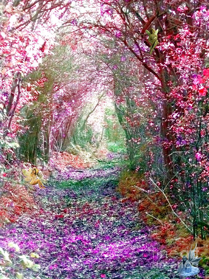 Secret Garden - Home of the Fairies Photograph by Vicki Spindler