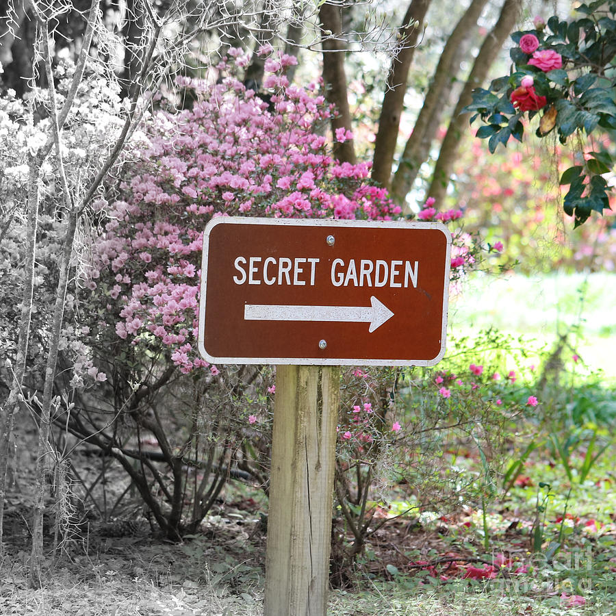 Secret Garden Sign Photograph by Carol Groenen
