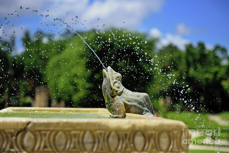 Secret Garden Splashes Photograph by Anna Serebryanik