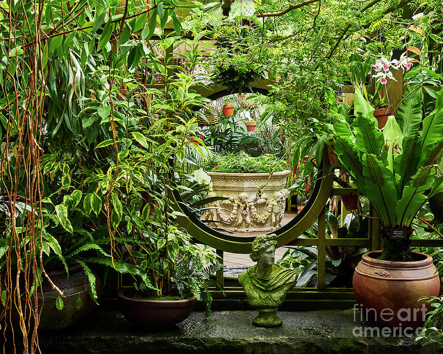 Secret Garden Photograph by Steve Ondrus